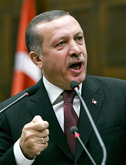 ضحى العاشور,Duha Ashour, أردوغان,تأملات في اسلام أردوغان